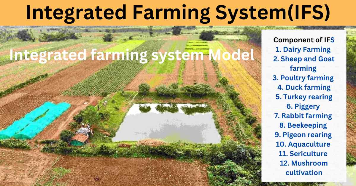 Integrated Farming System(IFS)