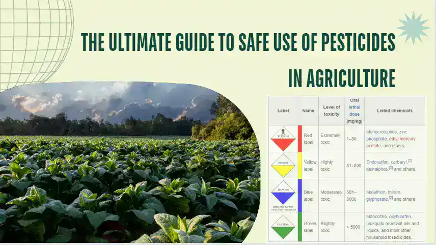 safe use of pesticides in agriculture