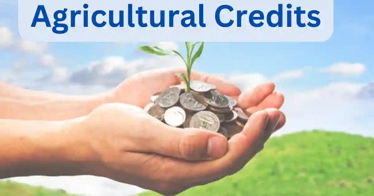 classification of agricultural credit