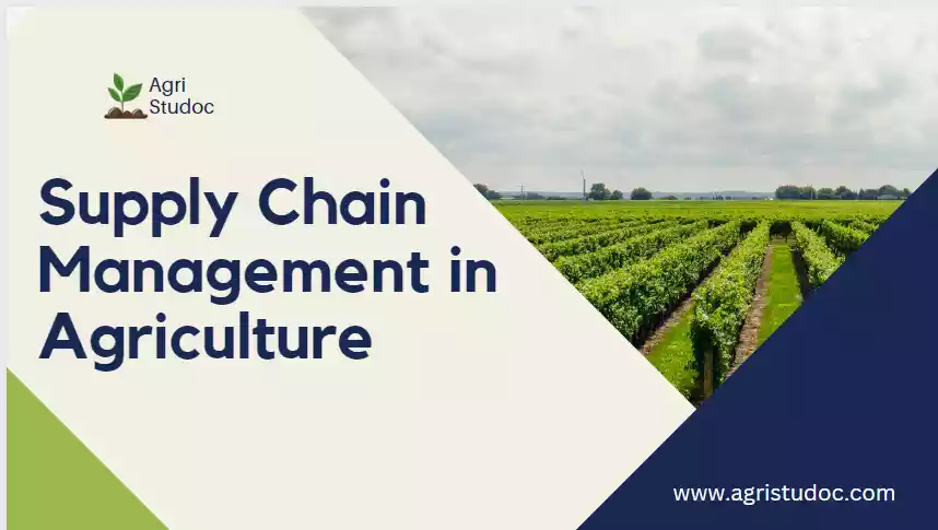 Supply Chain Management In Agriculture: 7 Importance